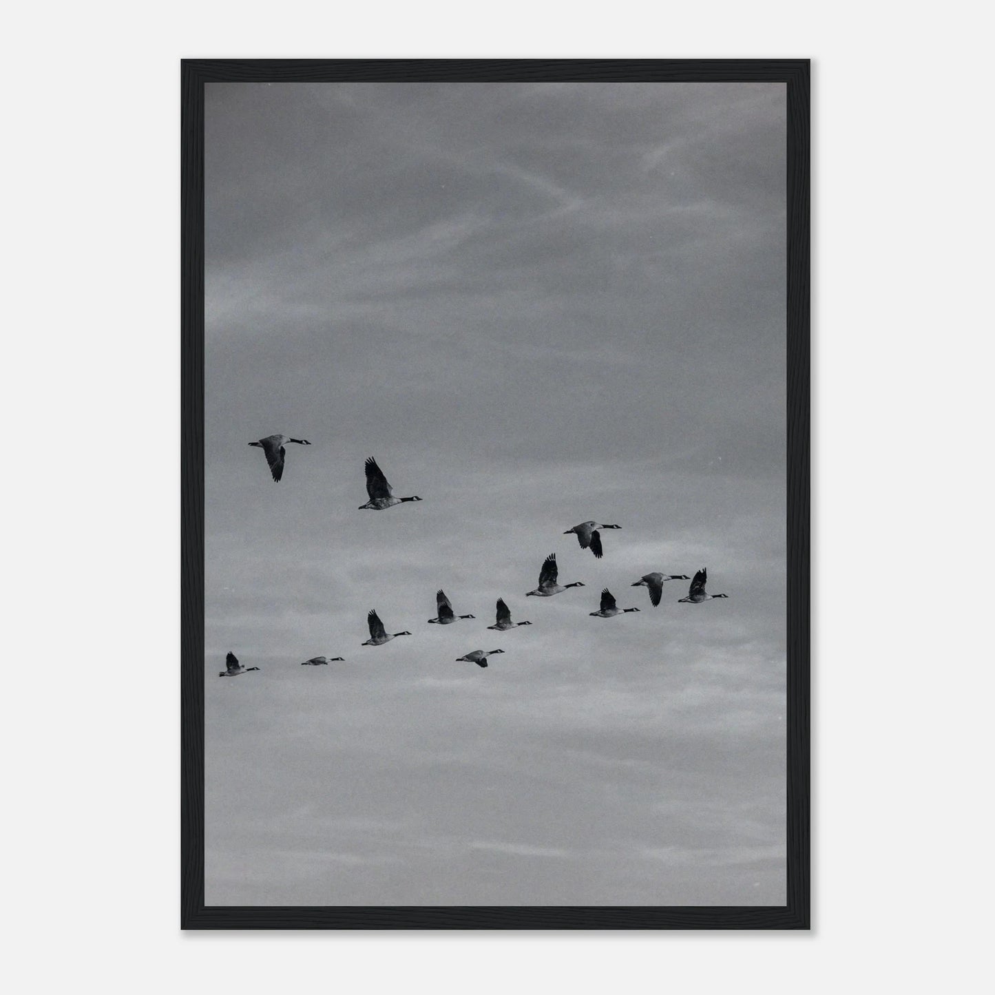 2726f918-9352-466a-a4b4-81b9861e9506