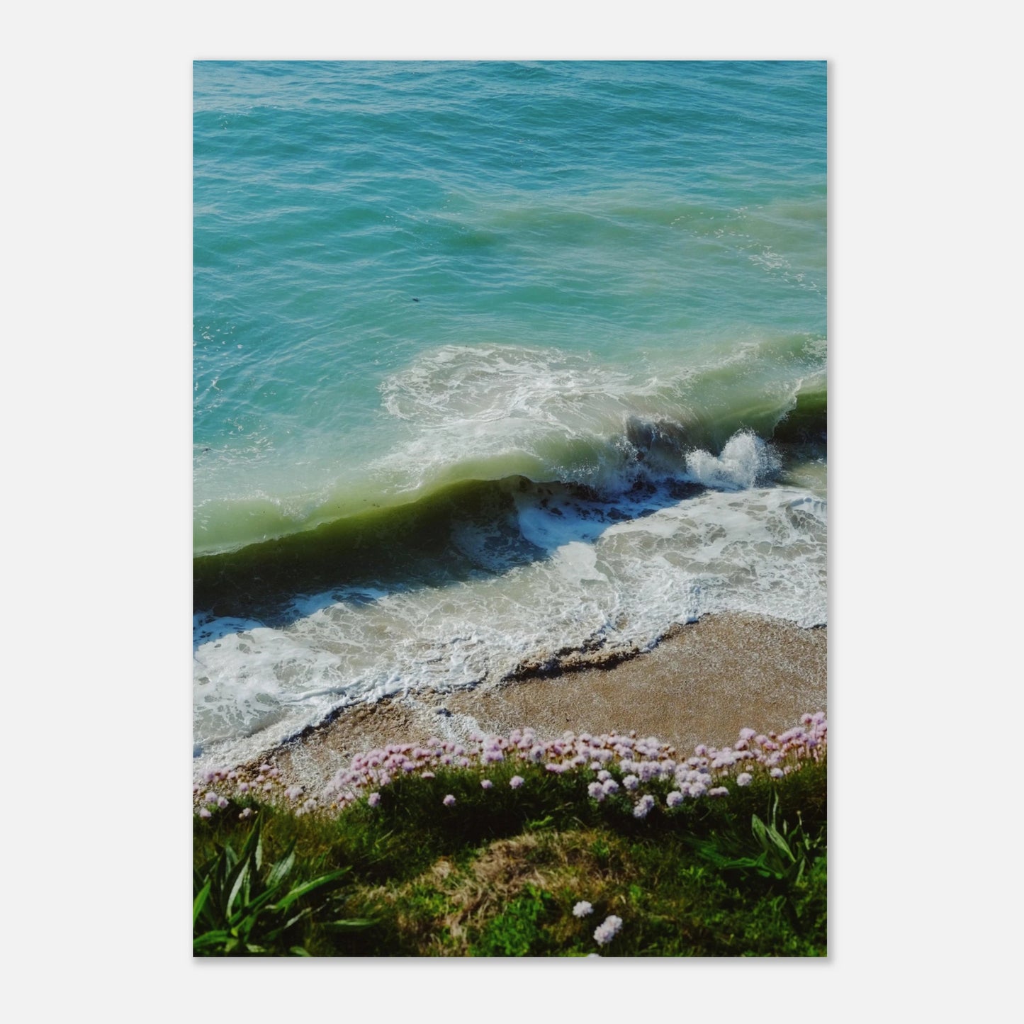 beb76a38-81d4-4224-b42d-b066d520d7db